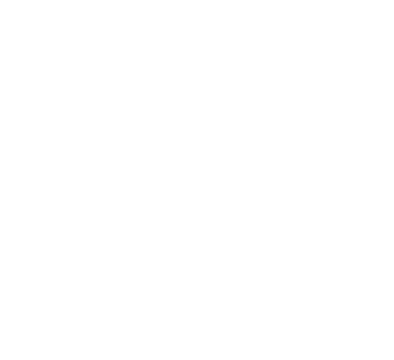 next day delivery next day delivery